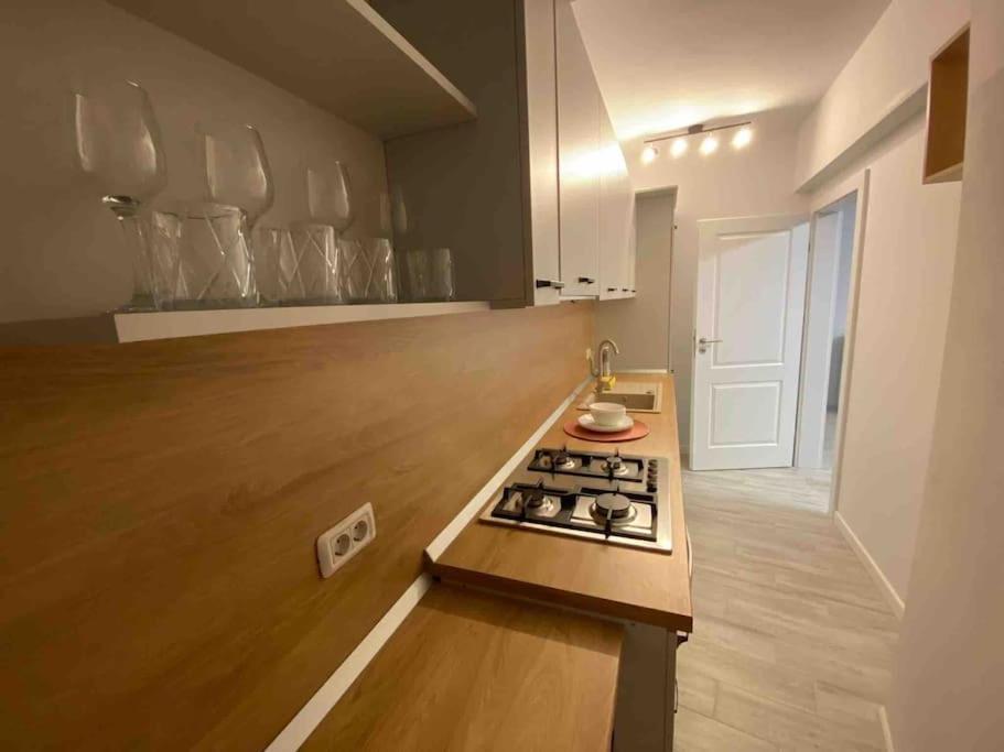 Zamca 08 Apartment Suceava Luaran gambar